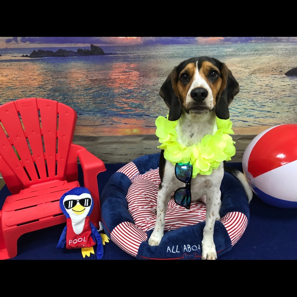 Meet your Posher, Jacqueline